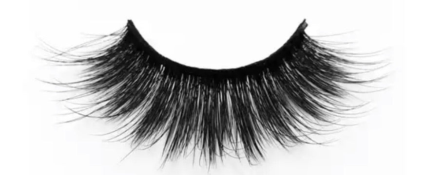 LATE NIGHT - SPARKYLEE